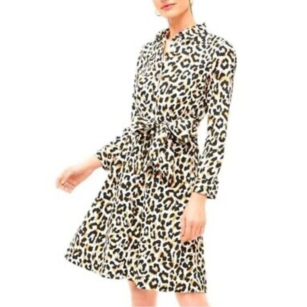 JCrew Leopard Print Long Sleeve Dress